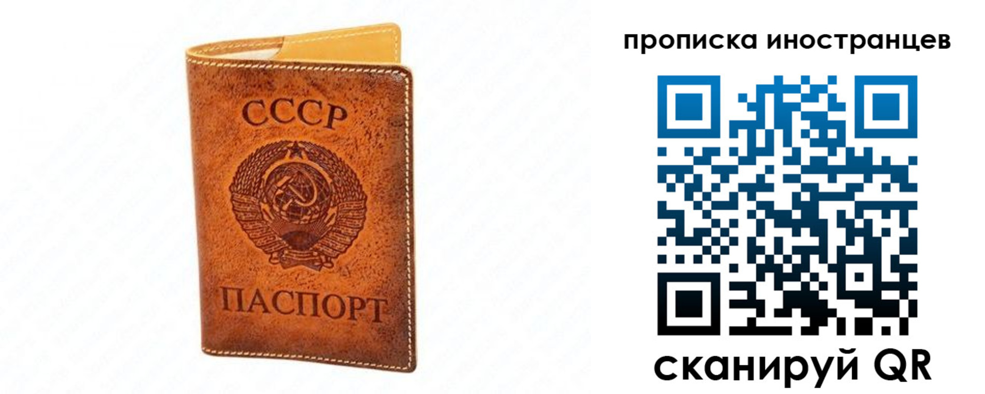 прописка для школы в Гвардейске
